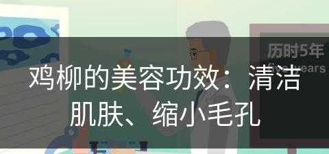 鸡柳的美容功效：清洁肌肤、缩小毛孔